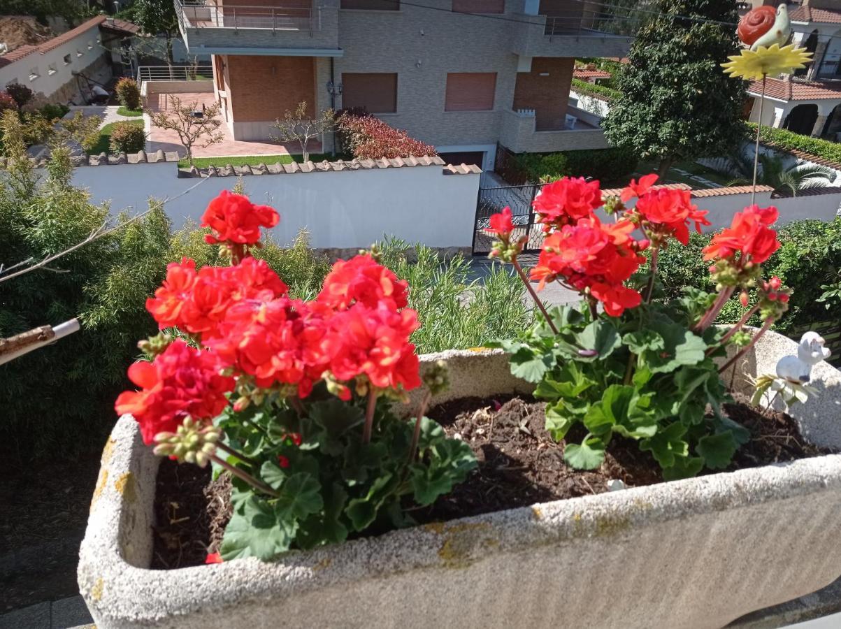 Villa Nerina Alloggio Turistico Anzio Dış mekan fotoğraf