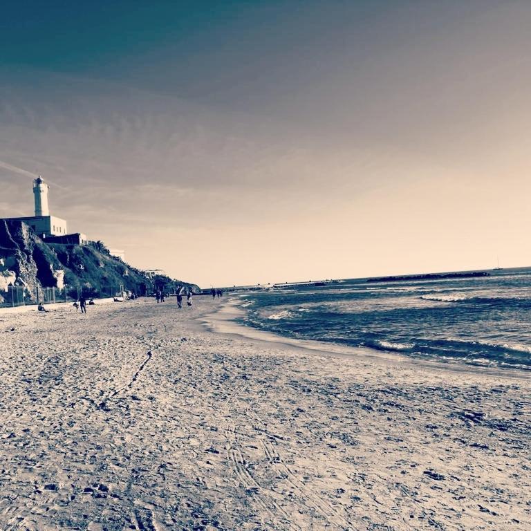 Villa Nerina Alloggio Turistico Anzio Dış mekan fotoğraf